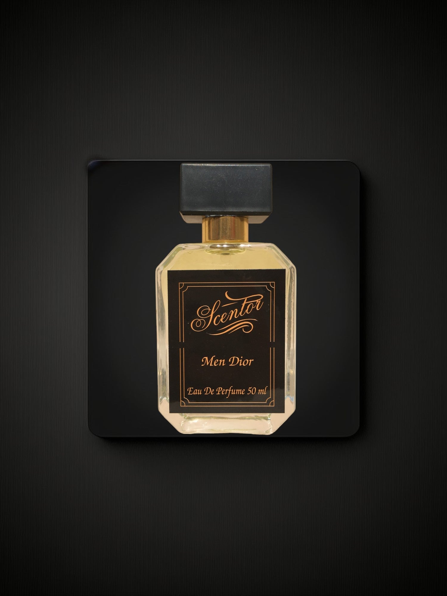 Men Dior